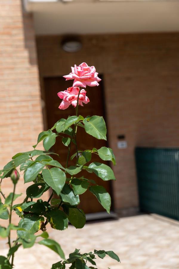 Modern House With Courtyard And Parking - Assisi Villa Santa Maria Degli Angeli  Exterior foto